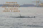 Muggia_71